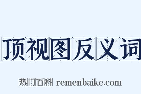 顶视图反义词是什么意思的图片